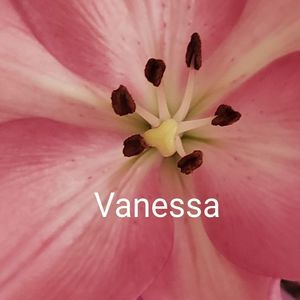 Meet your Posher, Vanessa